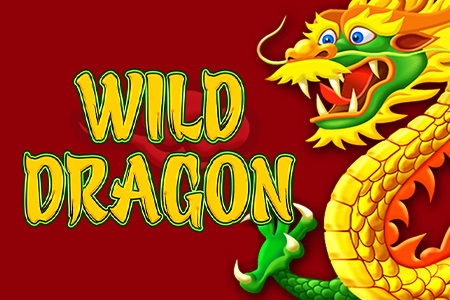 Wild Dragon