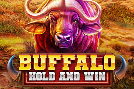 Buffalo Hold and Win
